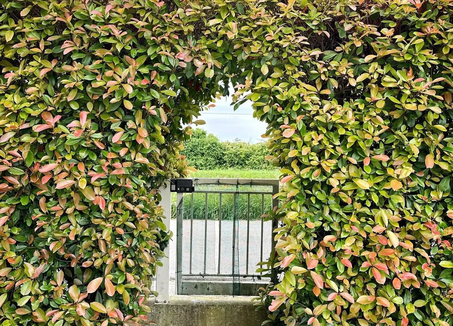 Parisi Bnb - Venezia Aeroporto Marco Polo location